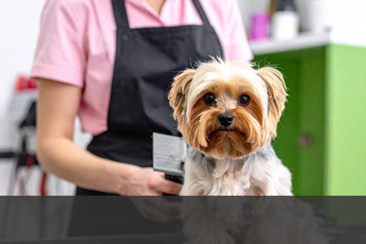 "having a landline number boosted my seo"